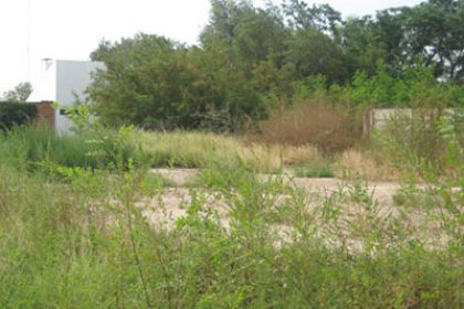 images_NOTICIAS_GENERAL_2016_09_Terreno-baldio
